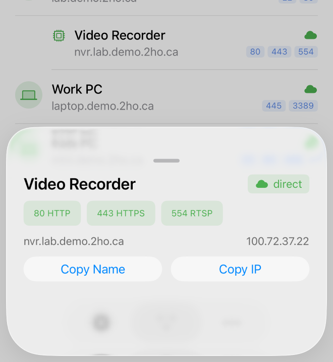 Device details showing NVR services
