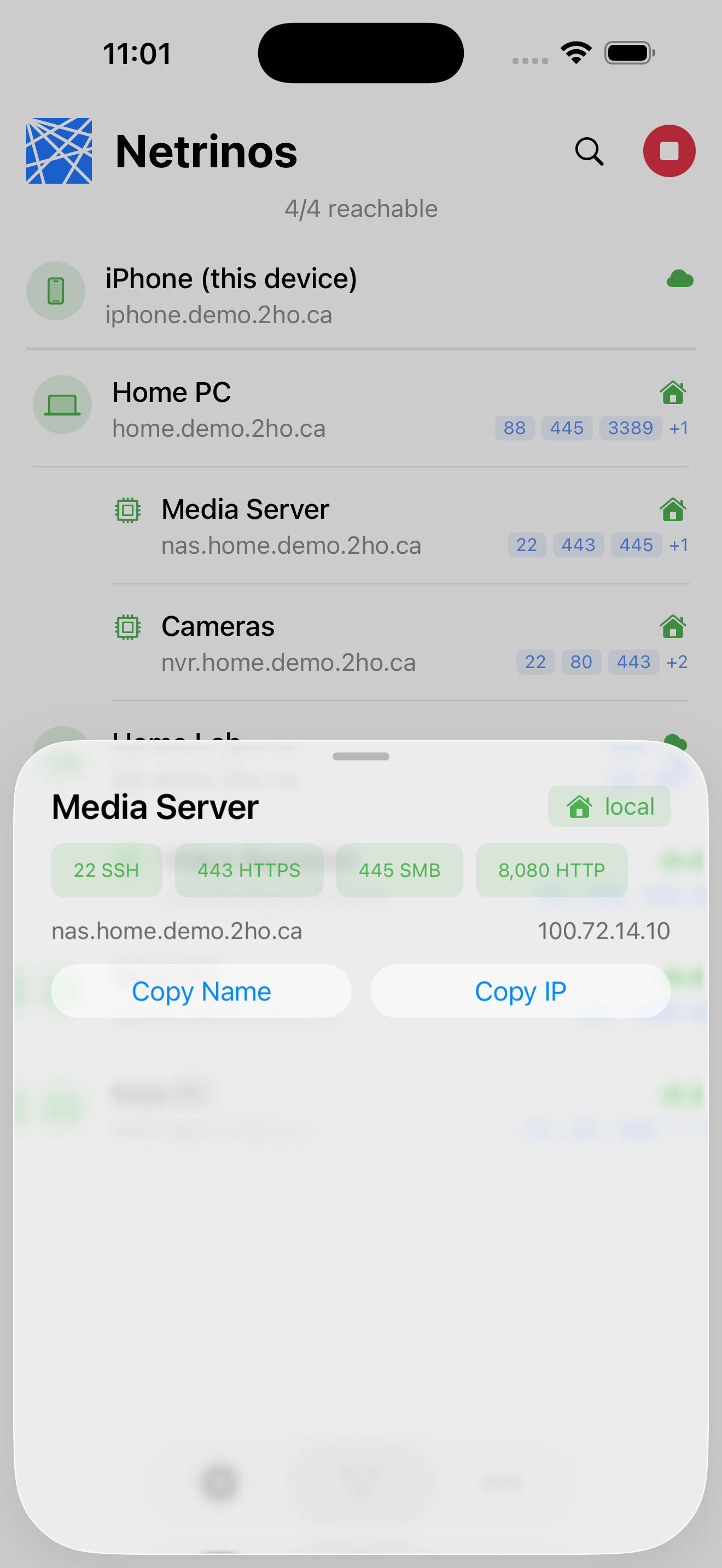 Netrinos mobile device detail showing media server